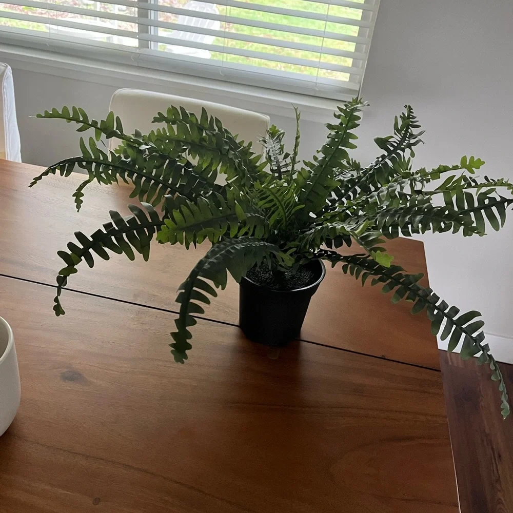 New IKEA large faux fern